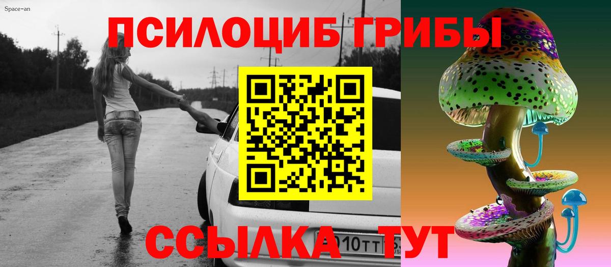 Псилоцибиновые грибы GOLDEN TEACHER Балашов