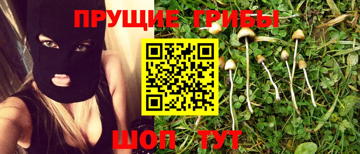 Галлюциногенные грибы MAGIC MUSHROOMS  Вход с VPN  Балашов 